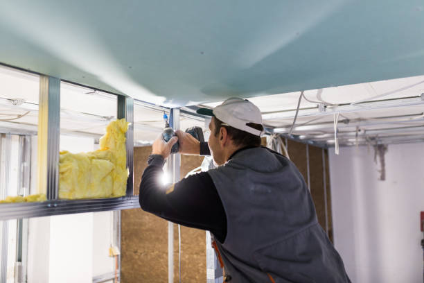 Best Cellulose Insulation  in Manteo, NC
