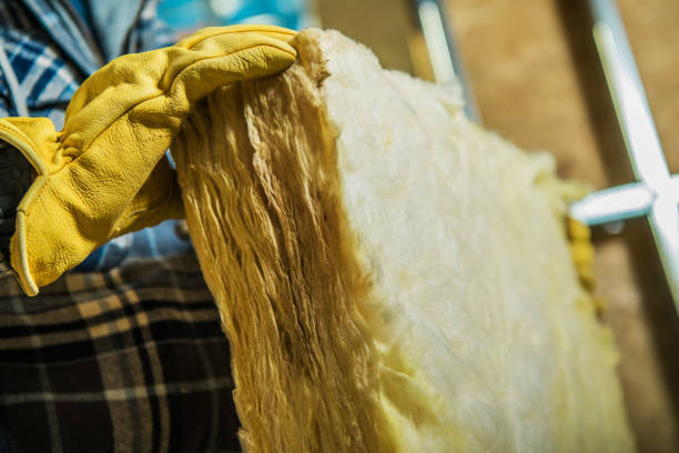 Best Insulation for New Construction  in Manteo, NC