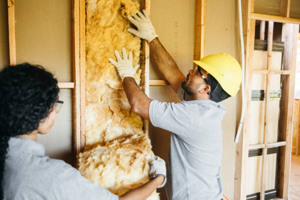 Best Garage Insulation Installation  in Manteo, NC