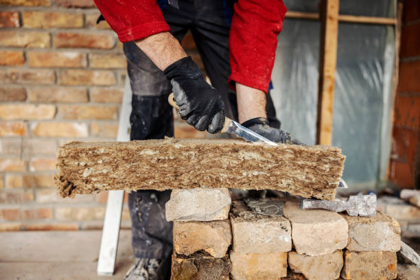 Best Insulation Contractors for Homes  in Manteo, NC