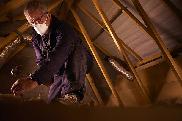 Best Energy-efficient Insulation  in Manteo, NC